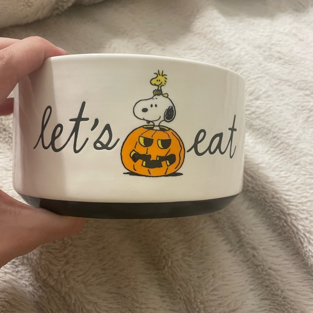NWT Peanuts and Rae Dunn Pet Food or Water Bowl - Picture 2 of 4